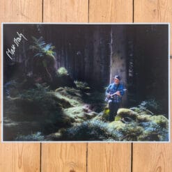 Flight of the Raven A3 glossy signed artwork print